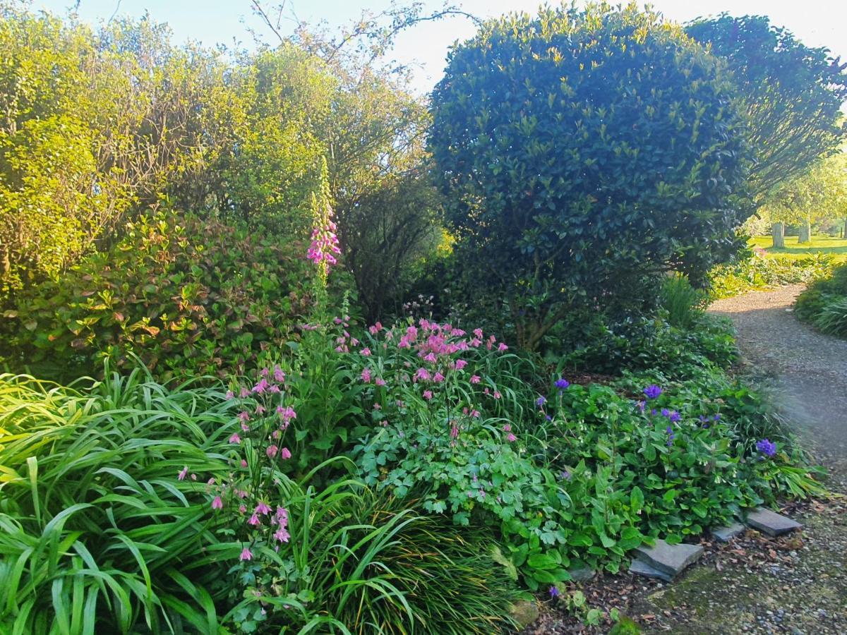Streamside Country Manor Bed & Breakfast Walton Екстериор снимка